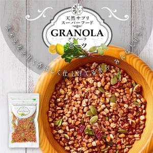 グラノーラ ナッツ シリアル 国産 玄麦 玄米 フルグラ ドライフルーツ ビーツ みかん レモン パンプキンシード 100g チャク付き袋 防災食品 非常食