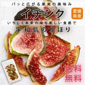 ドライフルーツ 国産 無添加 砂糖不使用 イチジク 宇和島のかほり メール便 まとめ買いでお得 げんき本舗