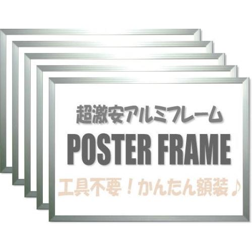 大額 かる!フレーム A1 シルバー