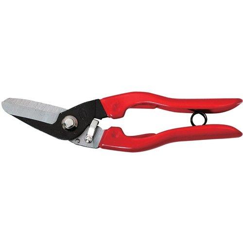 タナカ ラスカット