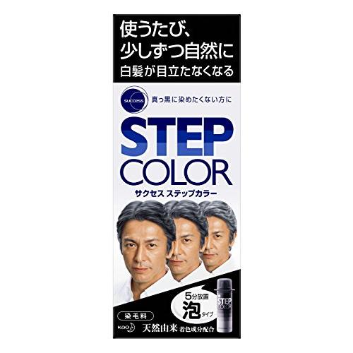 サクセス ステップカラー 110g