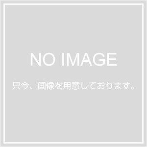大東プレス ( DAITO PRESS ) バックミラー キャンター 86- DI-235