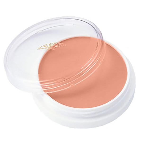 三善 グリースペイント（どうらん・ドーラン） 24P