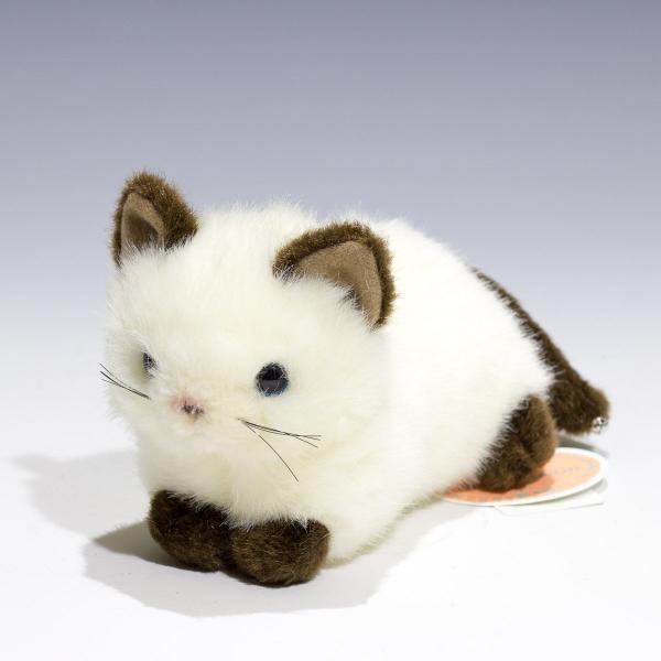 たけのこ プチどりーむ ミニ A シャムネコ ぬいぐるみ 95029