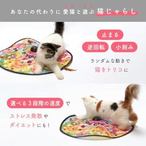 猫壱(necoichi) キャッチ・ミー・イフ...の詳細画像1
