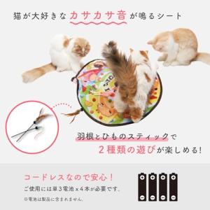猫壱(necoichi) キャッチ・ミー・イフ...の詳細画像2
