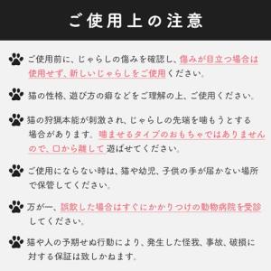 猫壱(necoichi) キャッチ・ミー・イフ...の詳細画像5