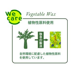 カメヤマ 菜 24時間ボーティブ 6個入 ロー...の詳細画像3