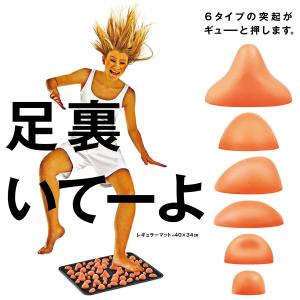 La-VIE(ラヴィ) ミニ足つぼマット 足裏...の詳細画像1