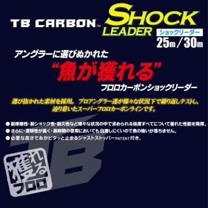 DUEL(デュエル) フロロライン 12Lbs...の詳細画像1