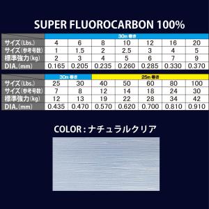 DUEL(デュエル) フロロライン 12Lbs...の詳細画像2
