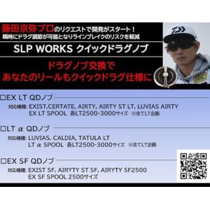 ダイワslpワークス(Daiwa Slp Wo...の詳細画像1