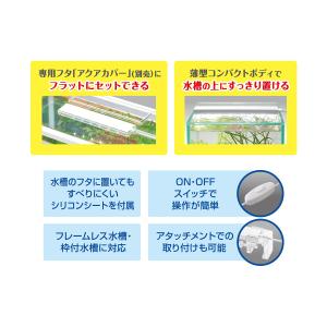 ジェックス GEX クリアLED フラッティ ...の詳細画像2