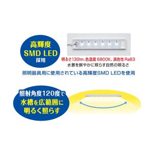 ジェックス GEX クリアLED フラッティ ...の詳細画像3