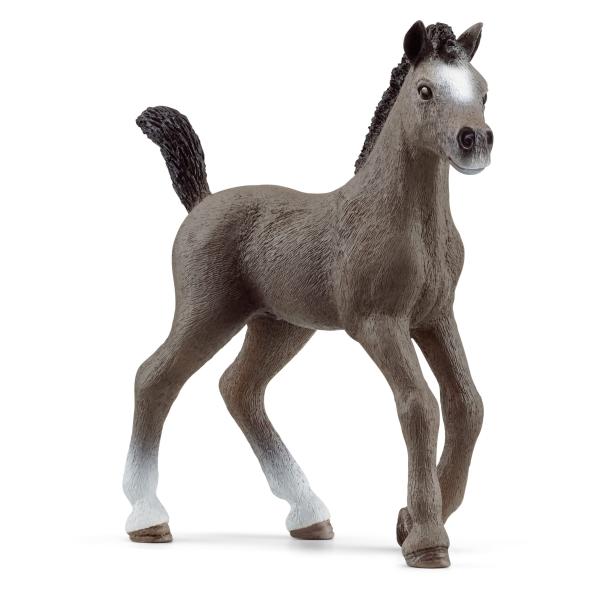 シュライヒ(Schleich) ホースクラブ セルフランセ(仔) 13957