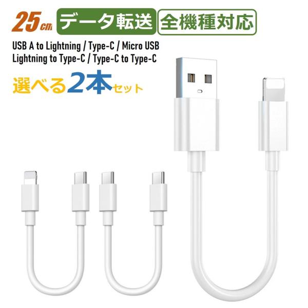 type-c to type-c C to L iPhone 充電ケーブル ライトニングケーブル 短...