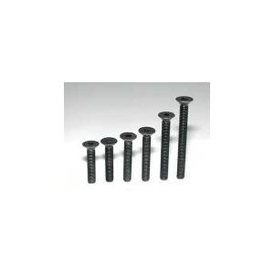 テイクオフ TS-958H ハードスチールサラビス M3*16(10個入)