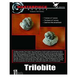 マスターピースモデル 1/1 トリロバイト 三葉虫 化石レプリカ レジン  