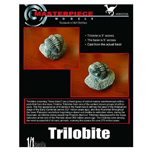 マスターピースモデル DIN7036 1/1 トリロバイト(三葉虫) 本物の化石の型を取ったレジン製...