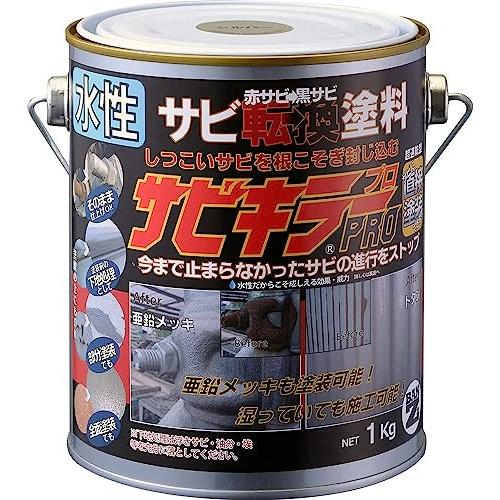 BAN-ZI サビキラー プロ 1KG シルバー 770026
