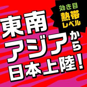 アース モンスーン アース虫よけ線香モンスーン...の詳細画像2