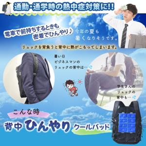 クールパッド 背中 リュック クールベスト 冷...の詳細画像2