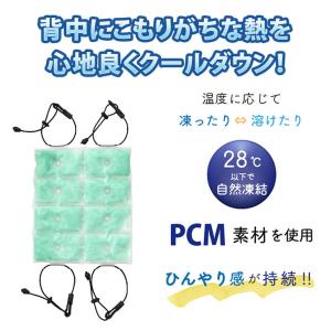 クールパッド 背中 リュック クールベスト 冷...の詳細画像3