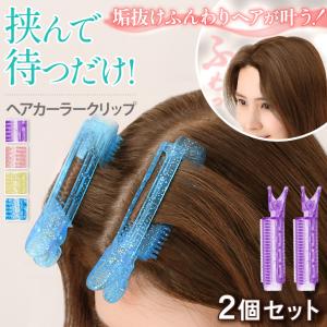 SHOBIDO 【2個セット】 前髪クリップ 4本入り ヘアクリップ 固定 ズレ