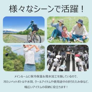 保冷バッグ ショルダーバッグ トートバッグ ボ...の詳細画像3