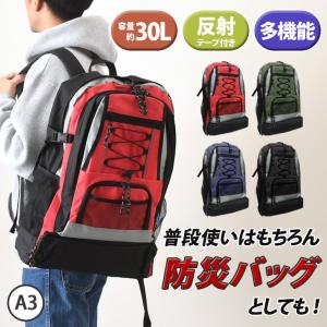 BURTON（バートン） スノーボード バックパック リュックサック [ak