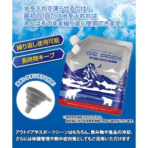 アイスパック 保冷剤 氷嚢 保冷パック アイス...の詳細画像2