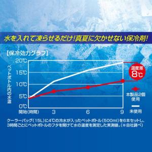 アイスパック 保冷剤 氷嚢 保冷パック アイス...の詳細画像3