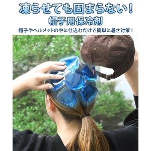 ヘッドクール 帽子用 クールパッド パット 保...の詳細画像2