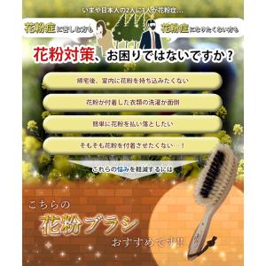 洋服ブラシ 豚毛 天然 花粉 静電気 埃 毛玉...の詳細画像3
