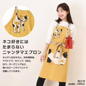アンドパッカブル AND PACKABLE エ...の詳細画像2