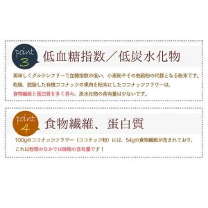 有機JASオーガニック ココナッツフラワー コ...の詳細画像5