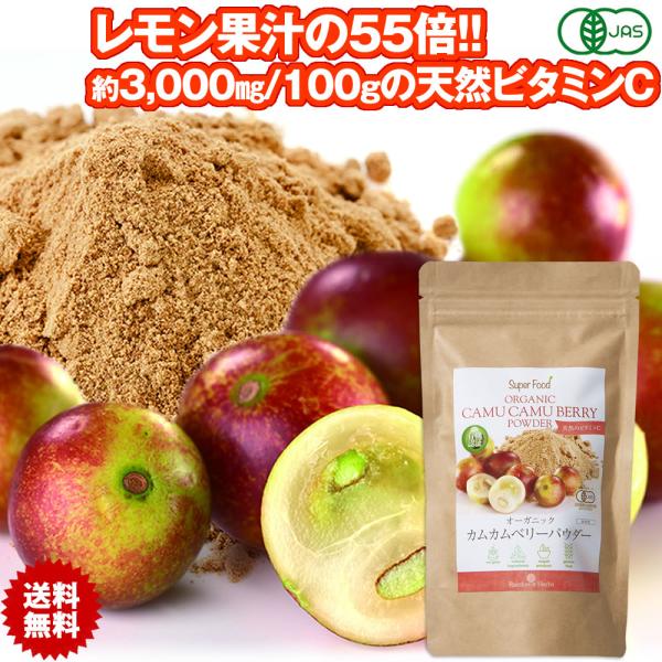 有機カムカムベリーパウダー 100g 1袋 天然のビタミンC レモン果汁55倍　有機JASオーガニッ...