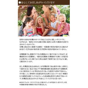 有機JASオーガニック チョコレートチップ 有...の詳細画像3