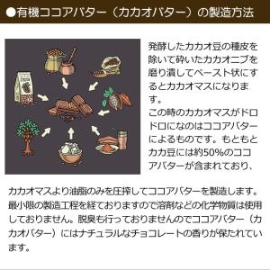 有機JASオーガニック カカオバター100% ...の詳細画像4