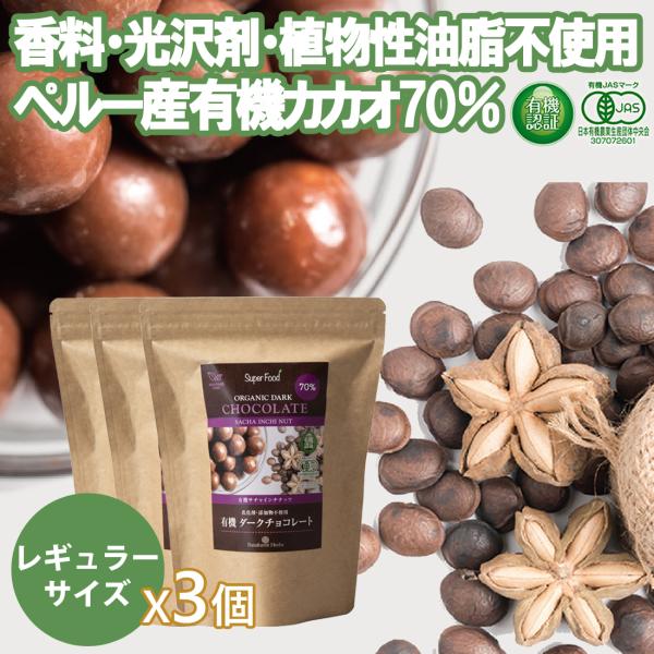 【レギュラーサイズ】有機サチャインチ チョコレート カカオ70% 110g 3袋 グリーンナッツ イ...