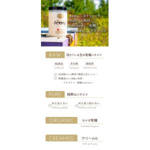 オーガニック生ハチミツ 500g 1個 酵素や...の詳細画像4