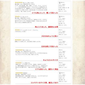 全品送料無料 期間限定 SALE 大容量 ショ...の詳細画像4