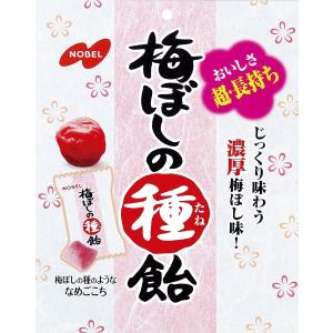 ノーベル製菓 梅干の種飴 30g×6個｜raizumiyustore