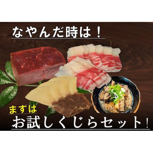 まずはお試し！くじら詰め合わせセット