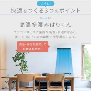 アイリスオーヤマ IHF-2208G ルームエ...の詳細画像5