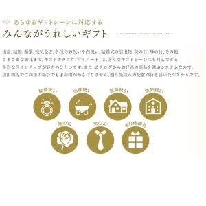 マイハート MYHEART-30800 カタロ...の詳細画像2