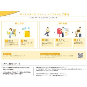 マイハート MYHEART-30800 カタロ...の詳細画像3