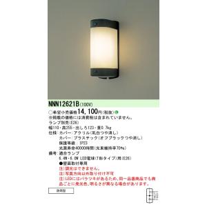 Panasonic（パナソニック） 【送料無料】 XAD3100NKCE1