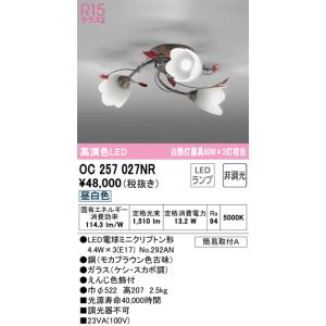 Panasonic（パナソニック） NDN28305W LEDダウンライト本体(電源