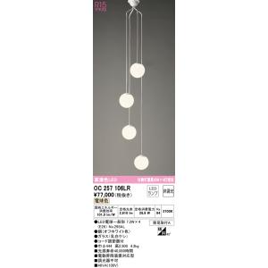 Panasonic（パナソニック） NNN60003S LED小丸電球ダウンライト ナイト
